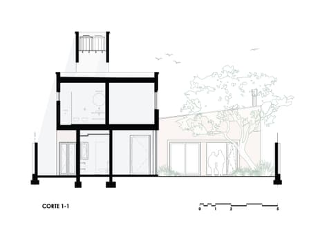 House around the Tree